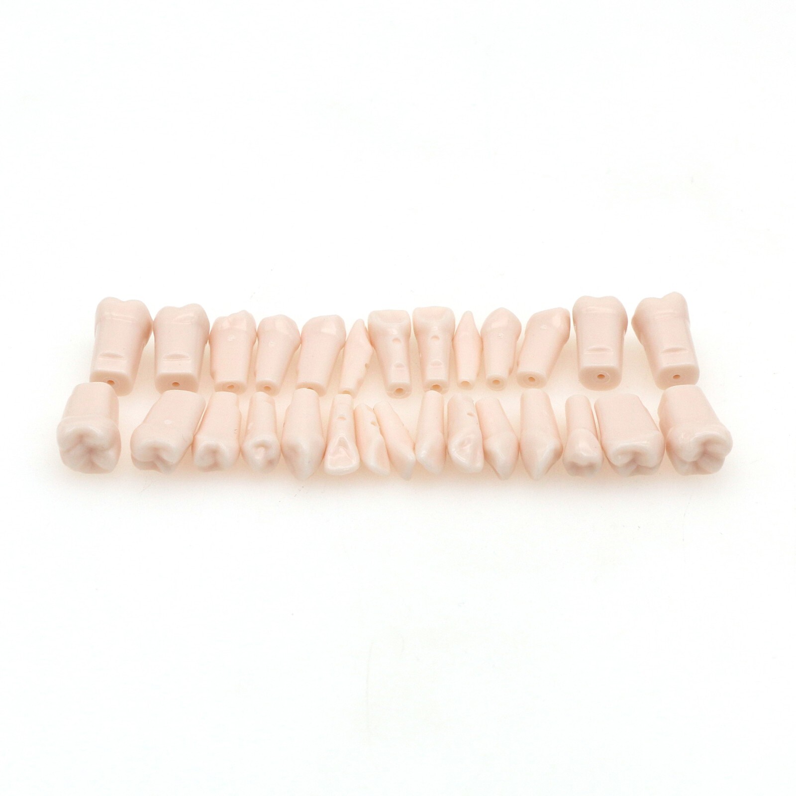 US Dental 28Pcs Typodont Teeth Mounting Pole Model fit Kilgore Nissin 200 Type