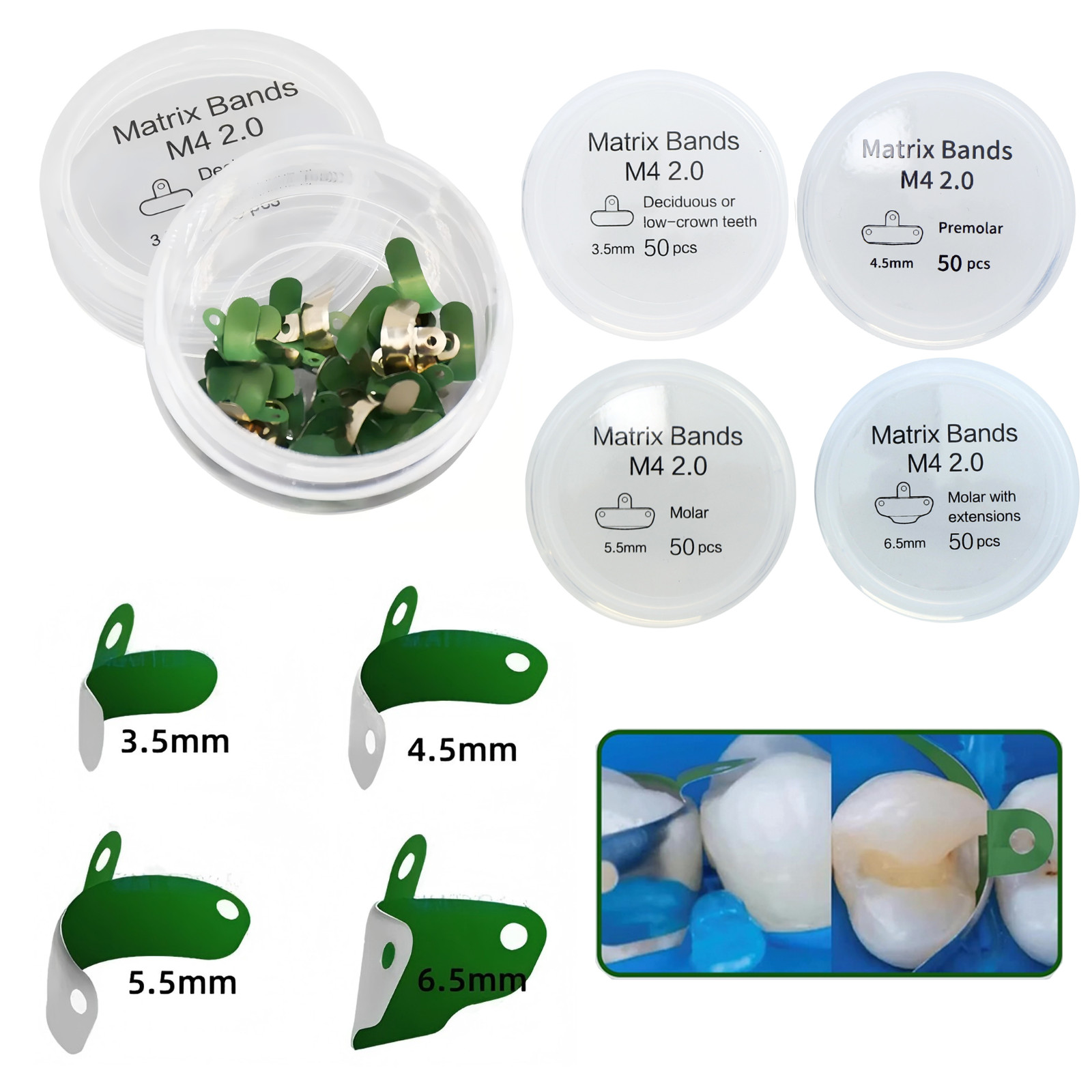 Dental Matrix Bands Ring Sectional Matrice Clamp for Garrison Palodent V3 System