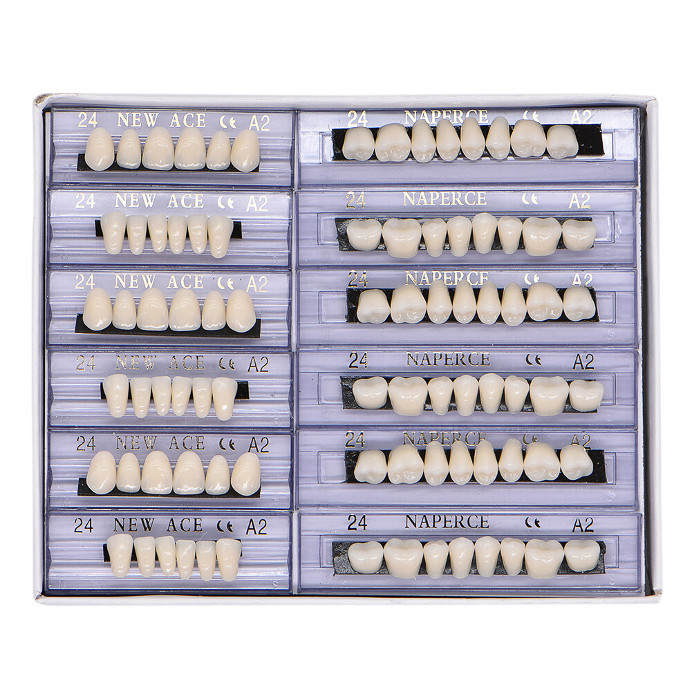 168Pcs Acrylic Resin Denture #24 Dental Upper Lower Shade A2 Teeth Set USA