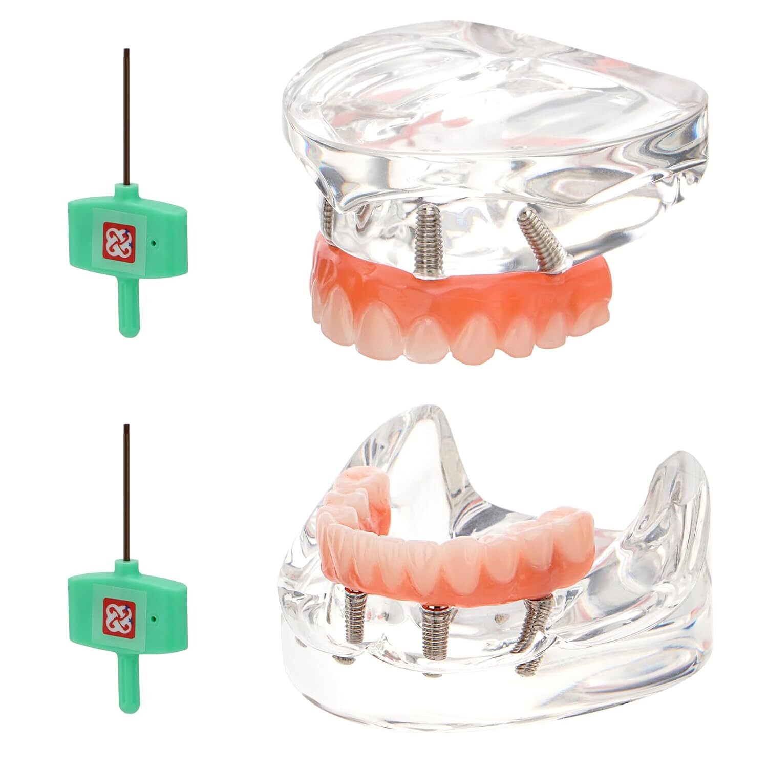 Dental Implant All-on-4 Overdenture Treatment Model Upper/Lower 4 Implants Clear