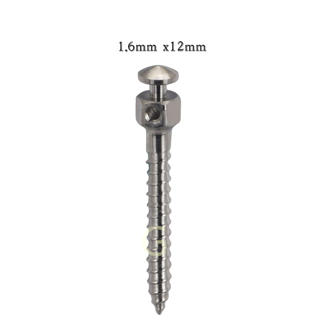 10PC Dental Orthodontic Screws Mini Implants Micro Screws Titanium TAD US STOCK