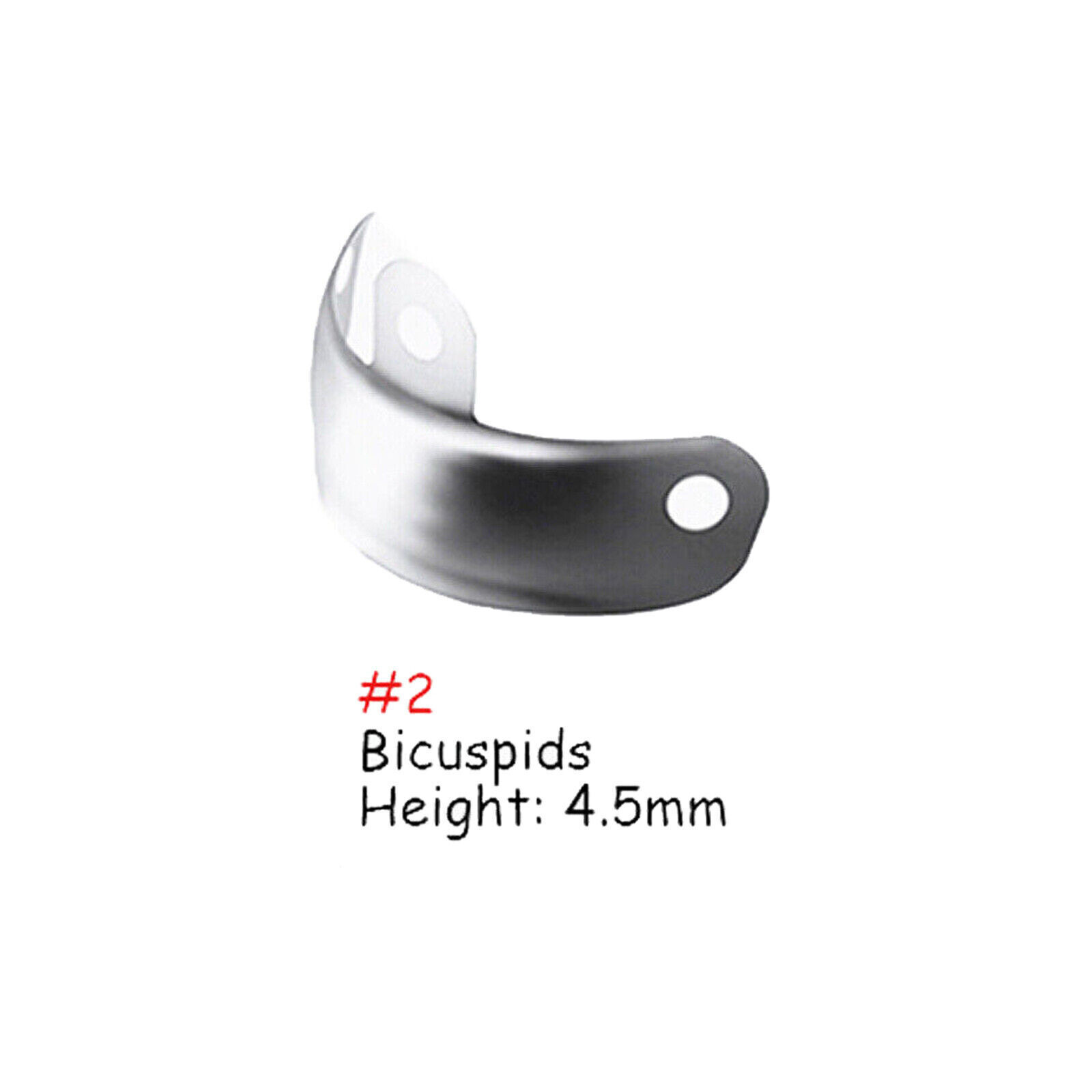 Dental Metal Matrices Sectional Molar Matrix Refill Soft Band (Choose Size/Qty)