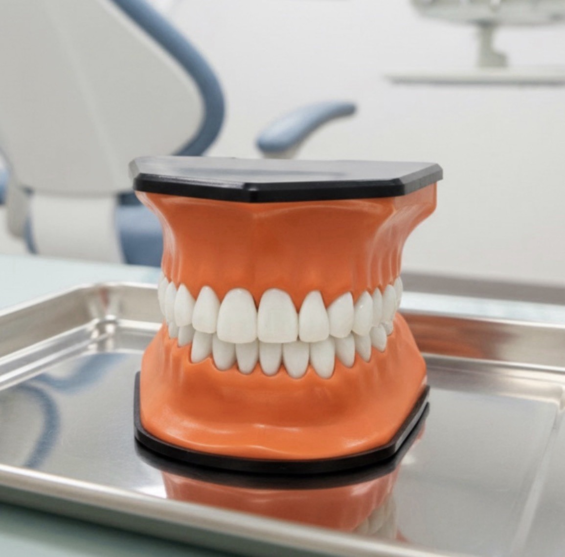 Henry Schein TP-100 Oversized Oral Teaching Dental Patient Education Display