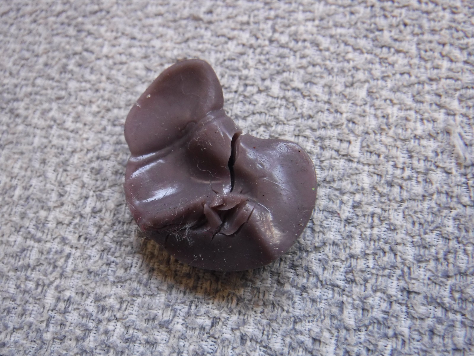 Human Body Anatomy Model 13″ Invisible Man Skeleton heart brain muscles lungs