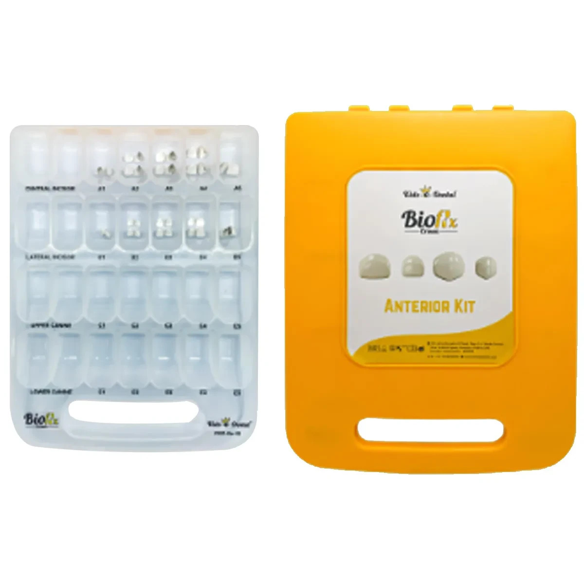 Kids-e-Dental Bioflx Anterior Crown Starter Kit (12 crowns)