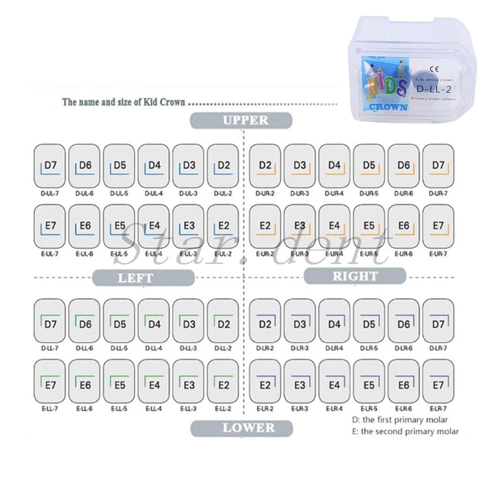 Dental Kids Primary Molar Crowns Stainless Steel Pediatric crown 48 Sizes USA