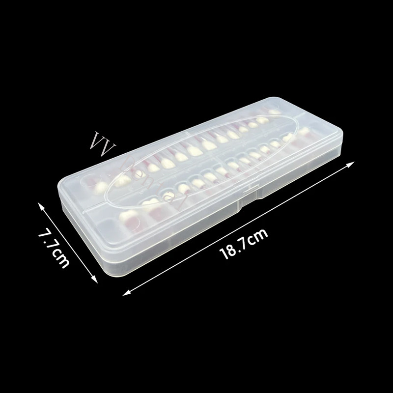28pcs Dental Endodontic Teeth Model Full Mouth Root Canal Block Training Tooth