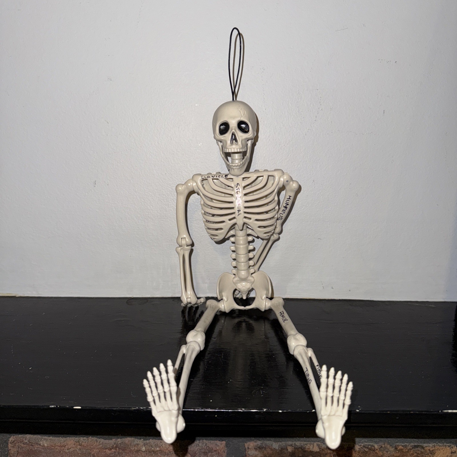Human Model Skeleton Plastic Anatomical Moving Joints 16″ Halloween Educational