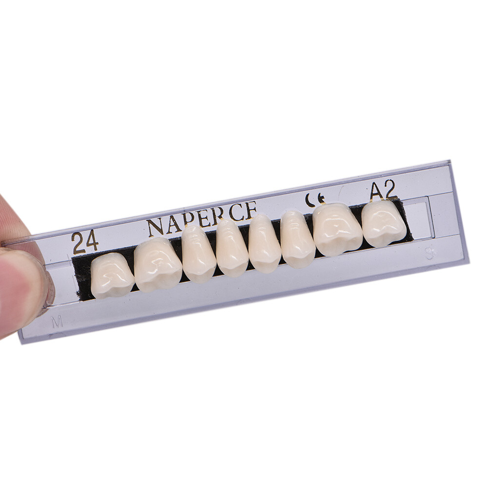 168Pcs Acrylic Resin Denture #24 Dental Upper Lower Shade A2 Teeth Set USA