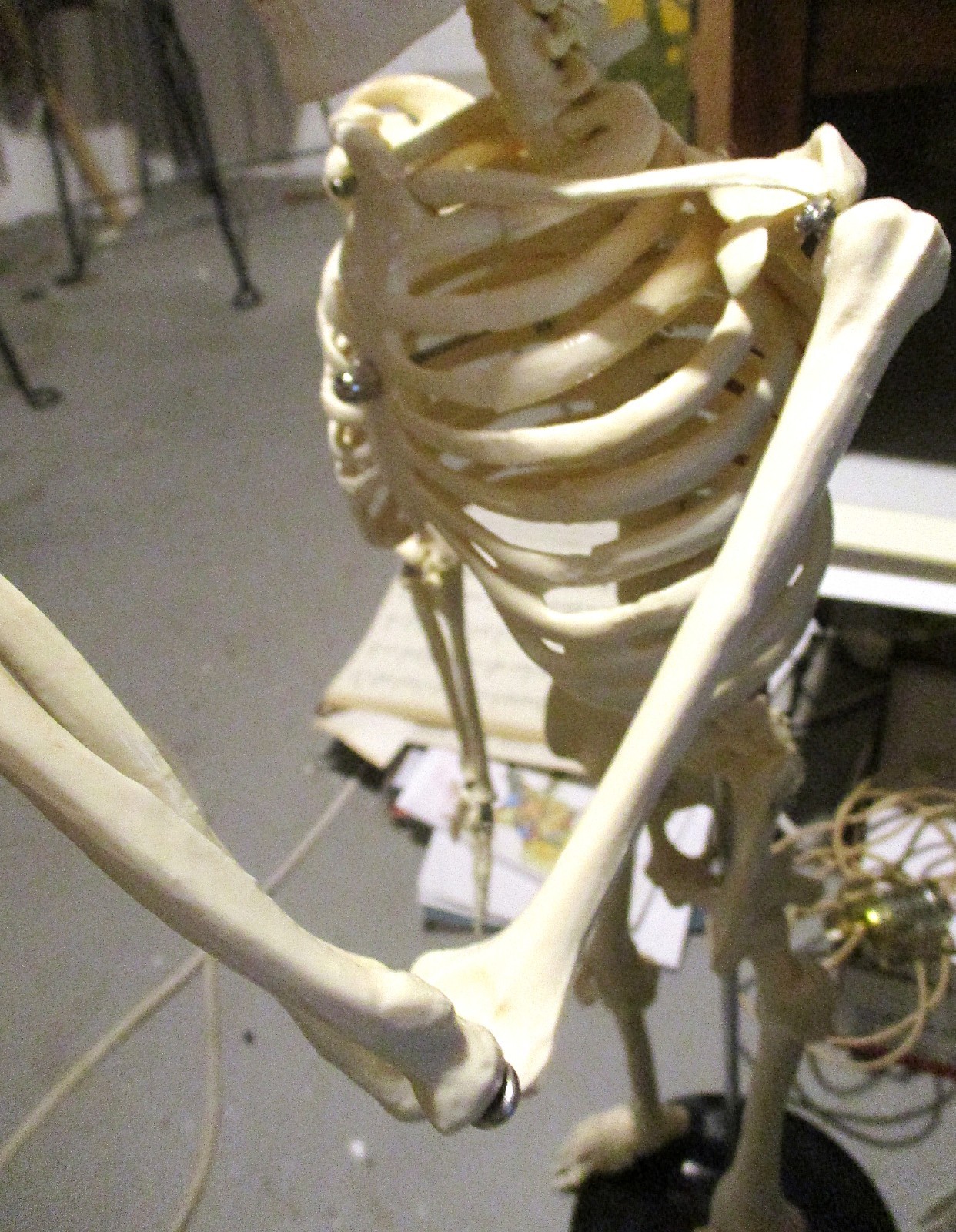 A 32″ TALL ARTICULATED PLASTIC HUMAN SKELETON, UPRIGHT ON METAL STAND, PERFECT