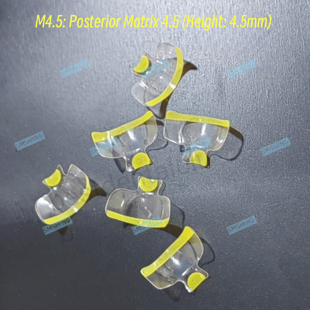 Clear Matrix Dental Posterior Transparent BT Matrices Fit BioClear USA STOCK