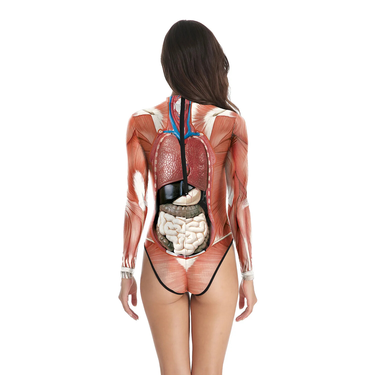 Medical Science Anatomy Woman Human Body Structure Tissue 3D Printing Model