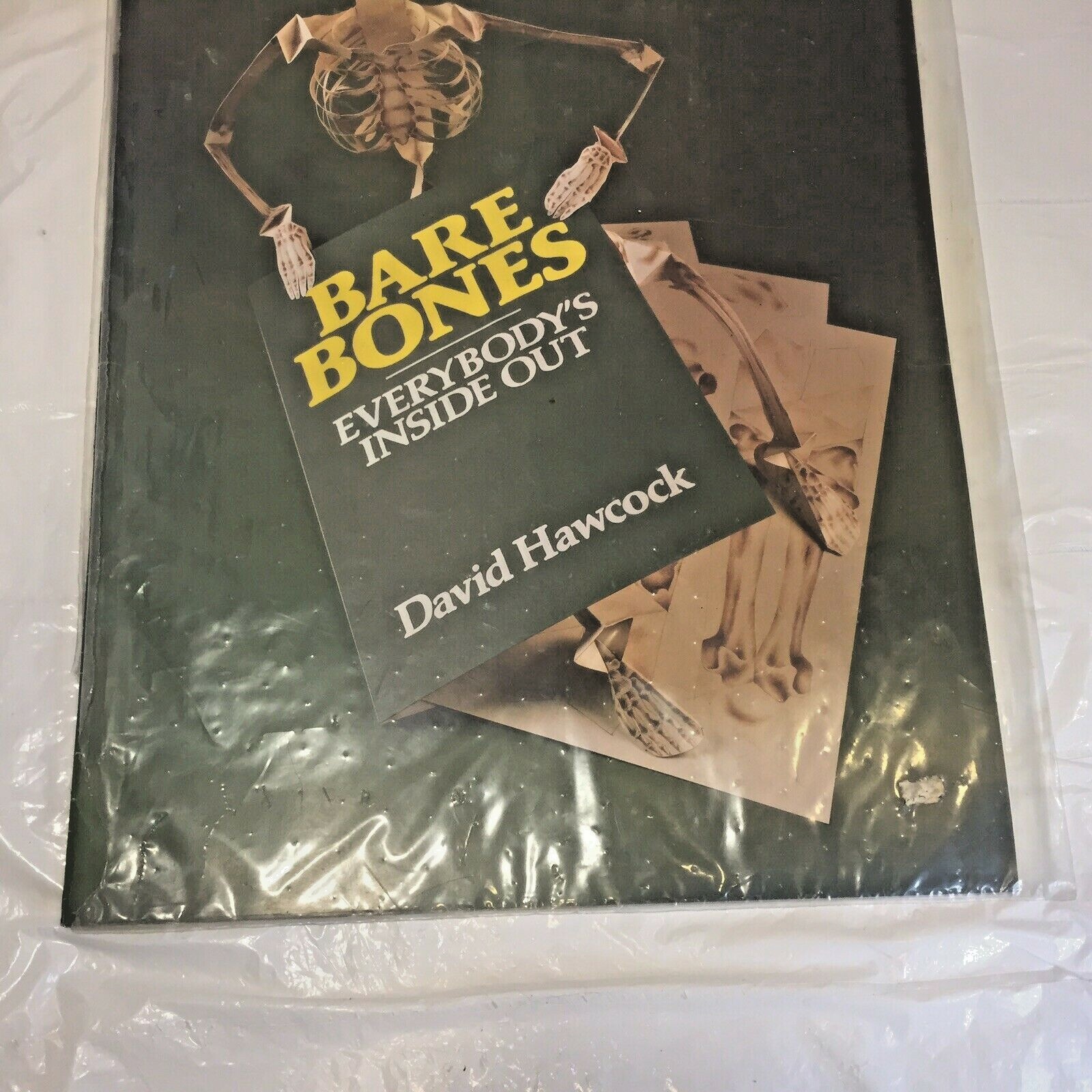 Vtg Halloween Bare Bones Human Paper Mobile Skeleton Model by David Hawcock NIP