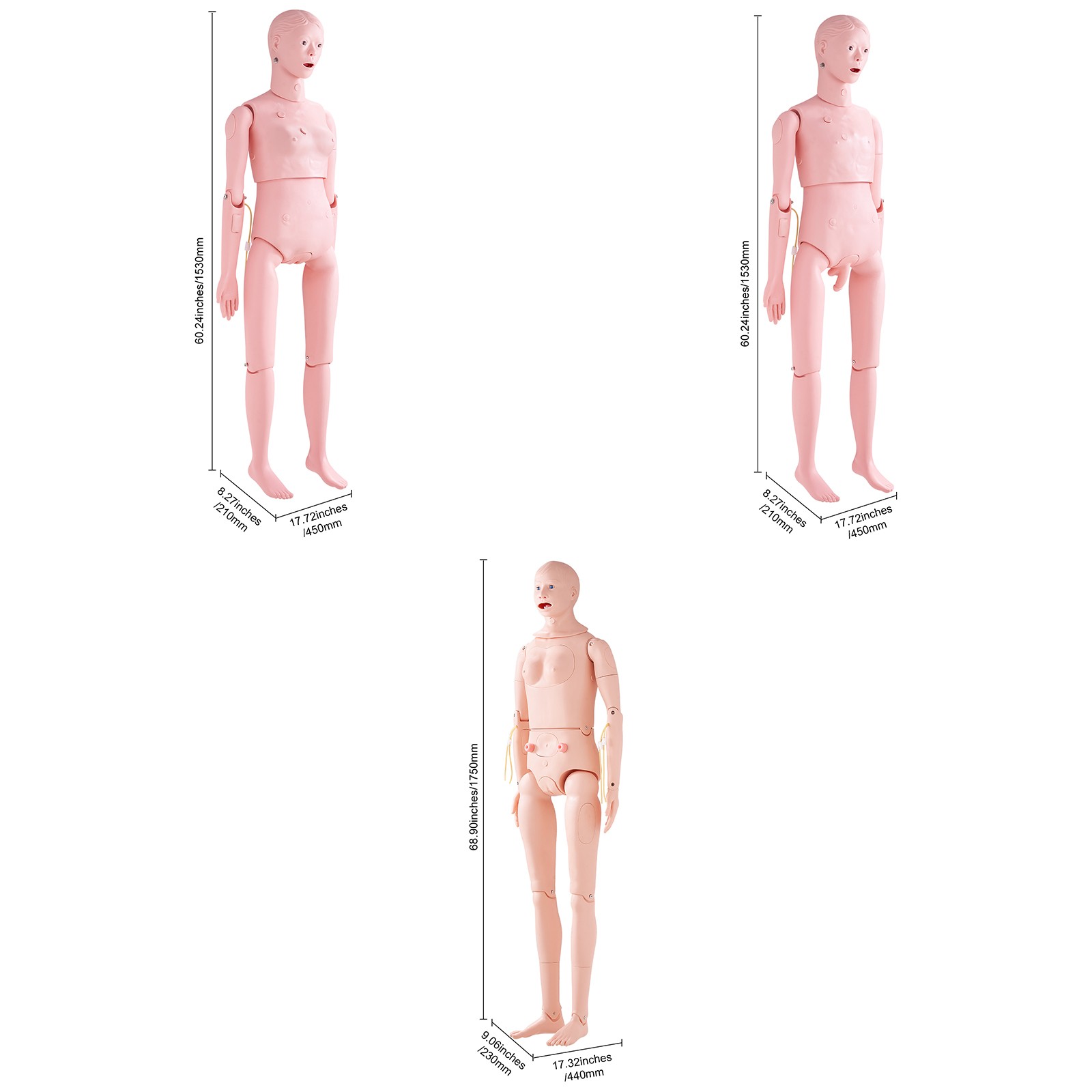 VEVOR Male/Female Manikin Model Anatomical Nursing Training Patient Care Teach