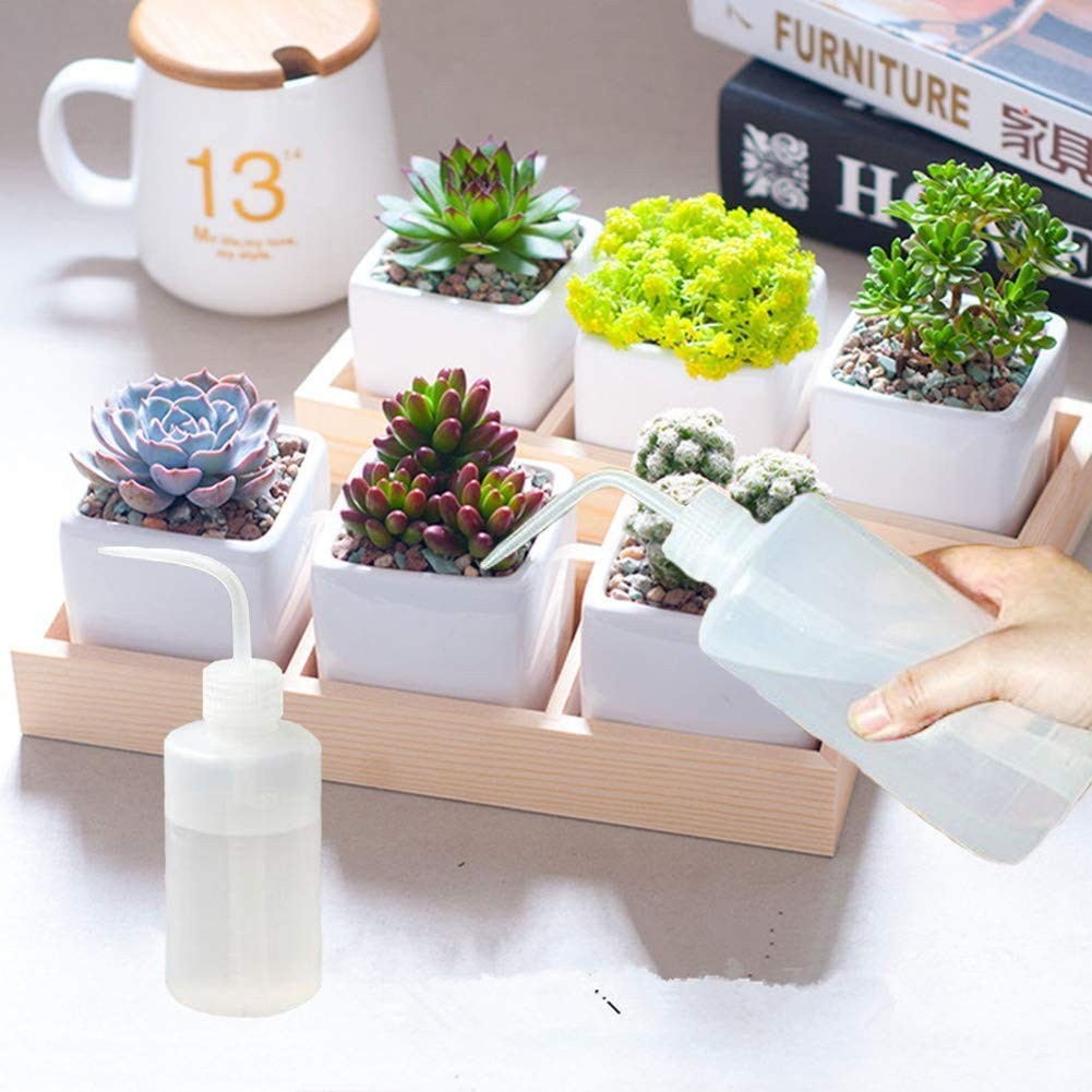 DONSTRAW Wash Bottle 2pcs 250ml/8oz Safety Bottles Watering 2x250ml, White