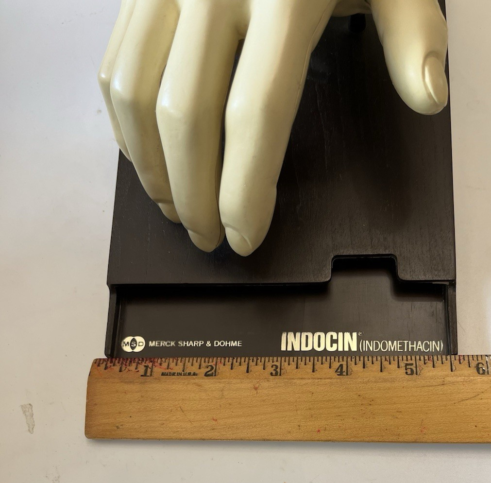 Vintage Merck Anatomical Medical Hand Model Indocin With Booklets 1967 Display