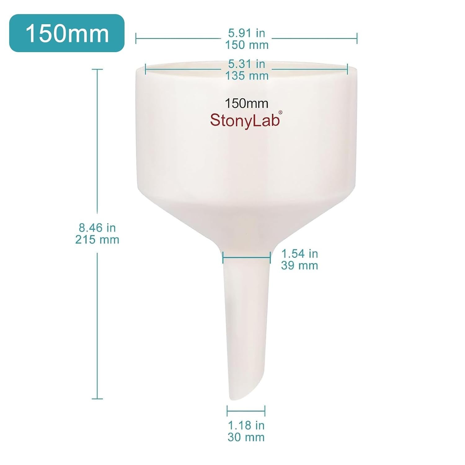 Buchner Funnel with Perforated Plate