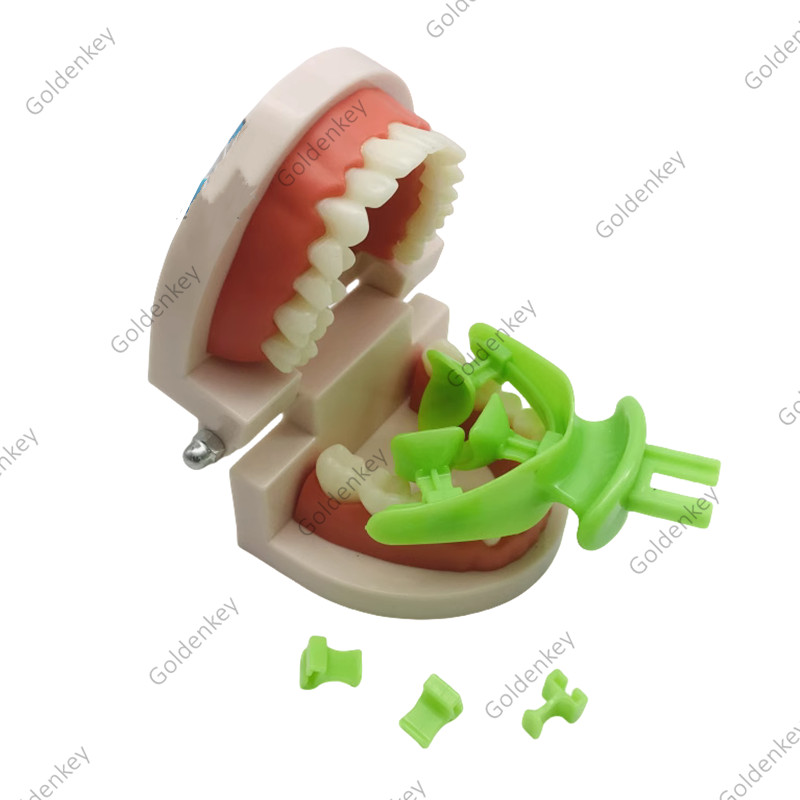 Dental Centric Trays BPS Tray Frame FCB Cut Articulator Occlusal Position Record