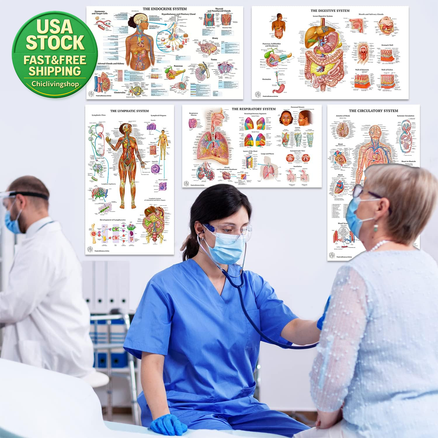 12 Human Anatomy Posters Laminated Medical Biology Health Classroom 18X30