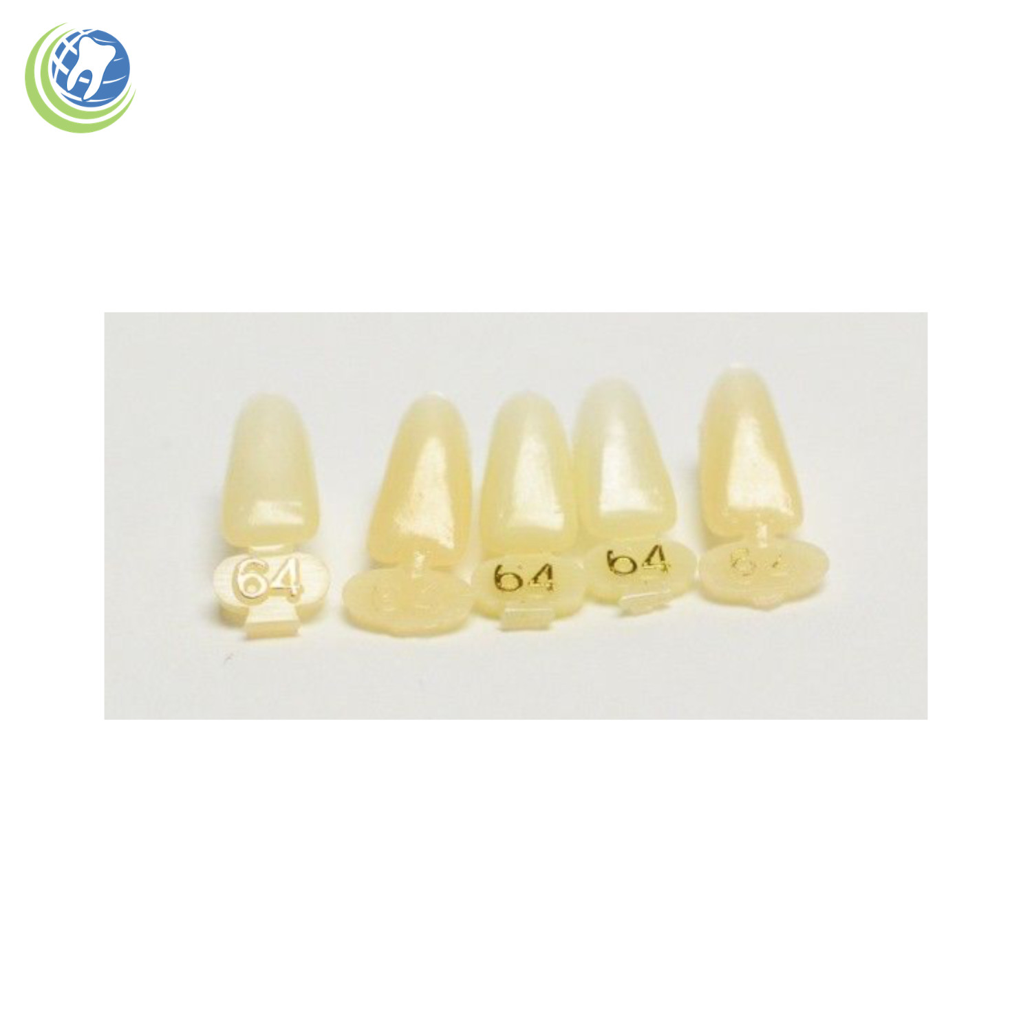DENTAL POLYCARBONATE TEMPORARY CROWNS #64 (LAL) LOWER ANTERIOR LONG 5/PACK