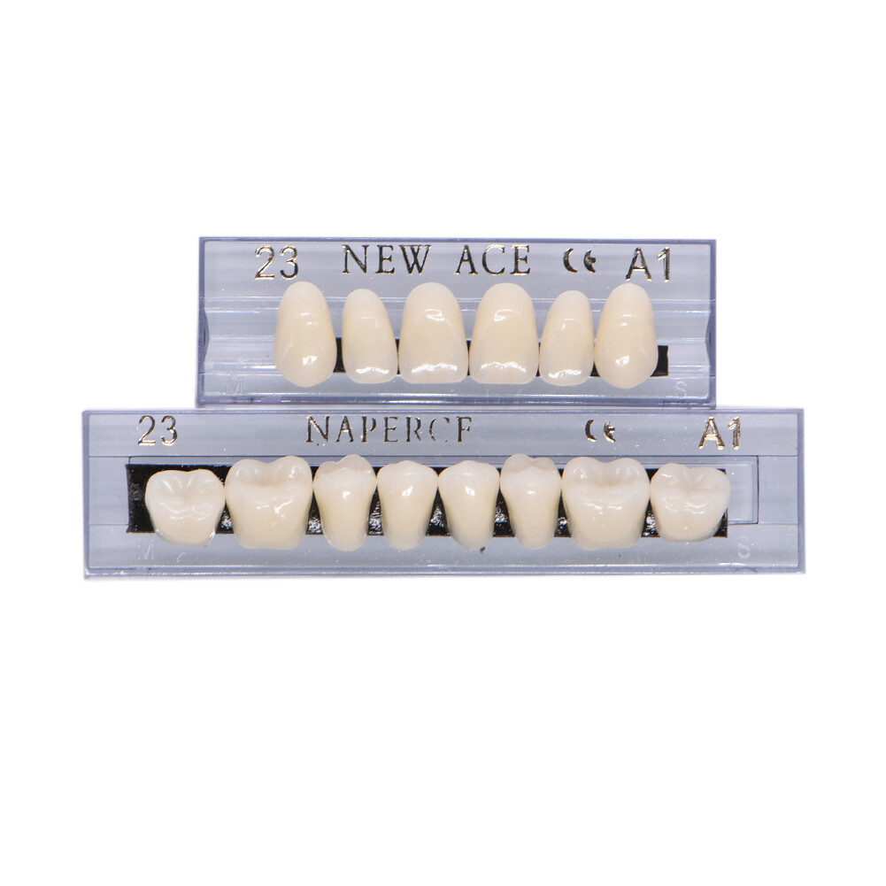 168Pc Dental Acrylic Resin False Teeth 23# Shade A1 Denture Full Upper Lower NEW