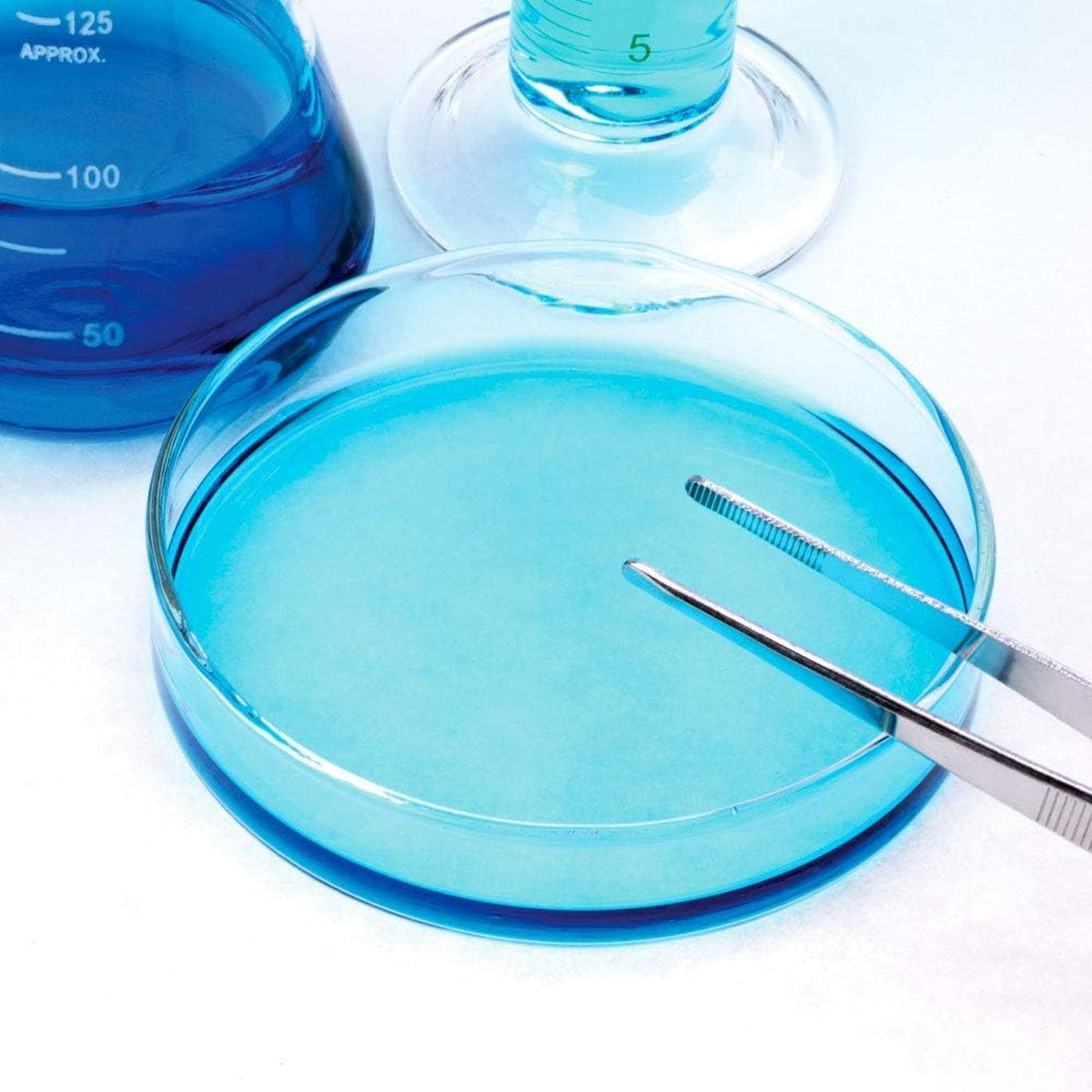Sterile Petri Dishes 90mm Diameter Plastic with Lid Laboratory Classroom Home