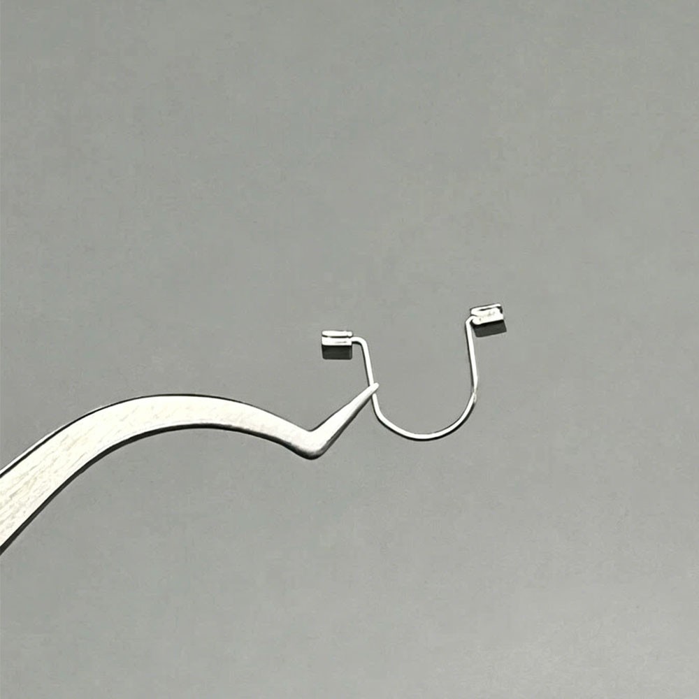 10Pcs/Pack Dental Ortho Single Anterior Teeth Torque Rectangular Spring StopHook