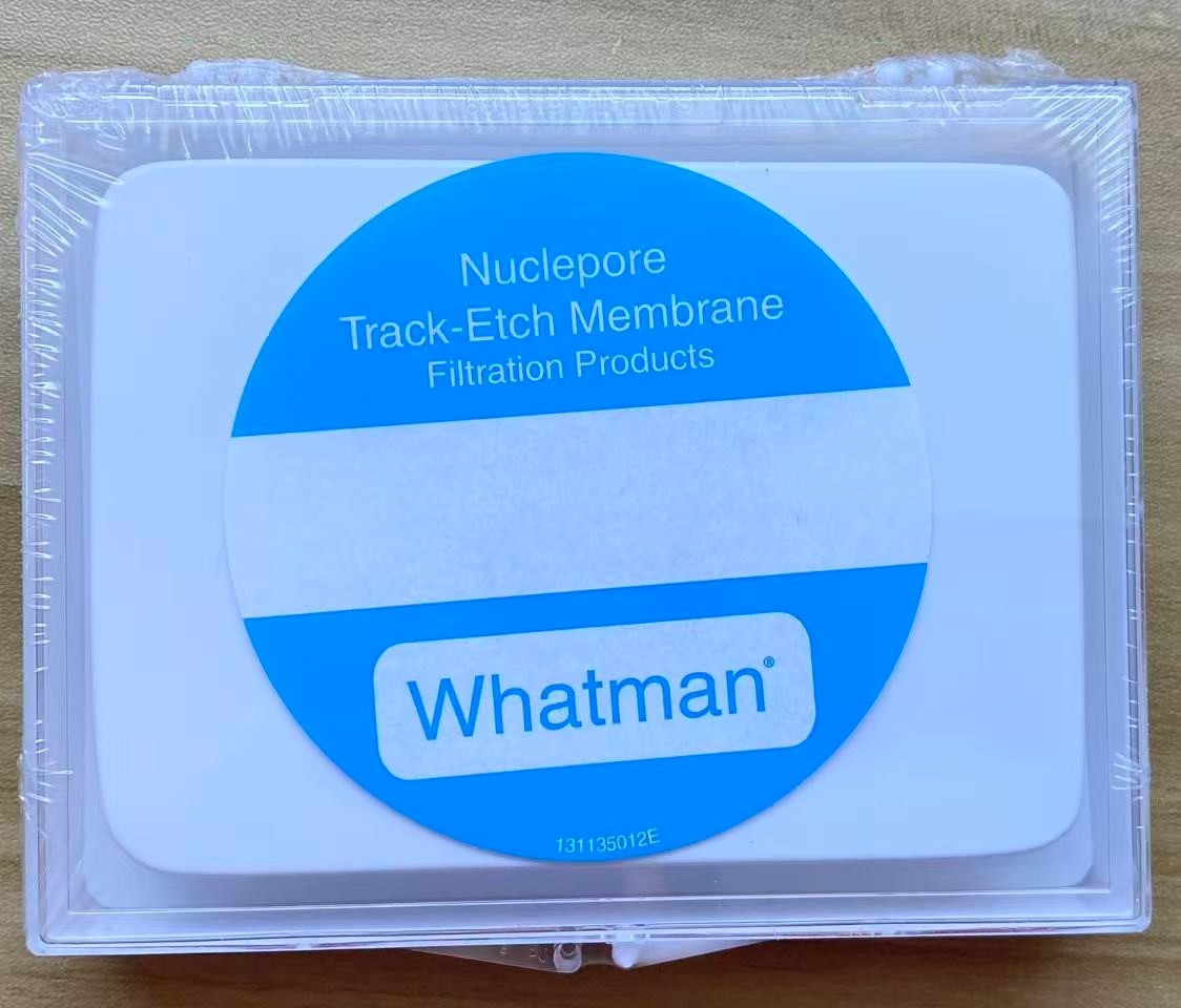 Whatman Nuclepore Track-Etch Membranes 0.2µm 19mm 100/pk (Avanti 610006-1Ea)