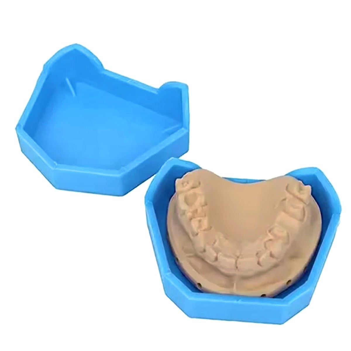 Dental Lab Model Base Former Molds for Stone Tray Loading S, M, L 6pcs/Kit