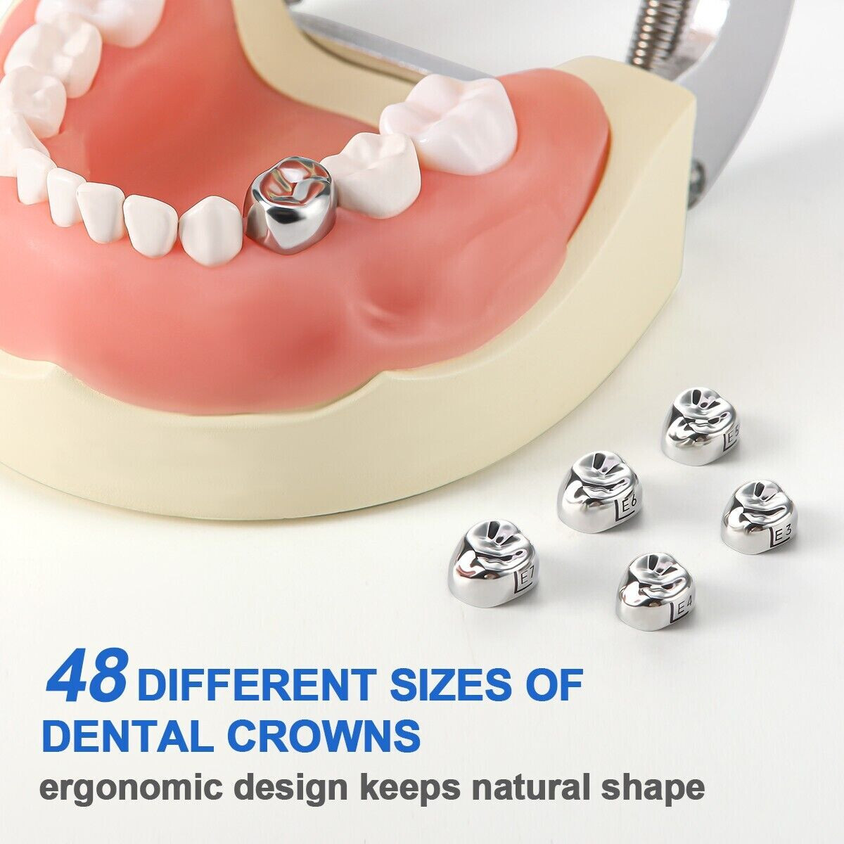 5 Pcs/Box Dental Stainless Steel Kid Primary Molar Crown Pediatric Restoration