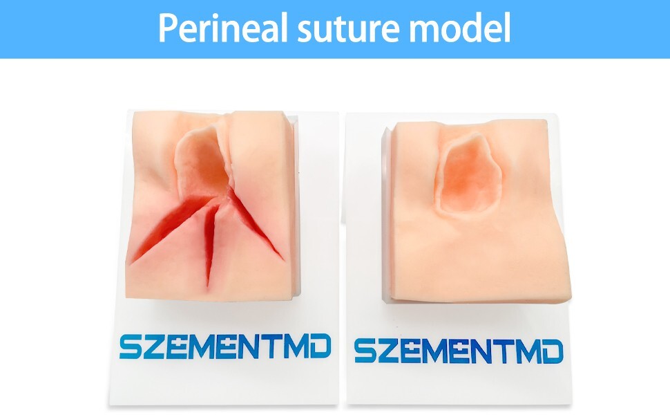 1PCS Perineal Three Incision Suturing Model, Perineal Repair Obstetric Training