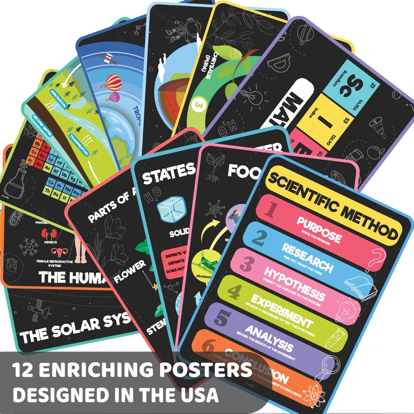 Jackinthebox 12 Science Posters For Classroom – 12 X 17 Inches Laminated Middle