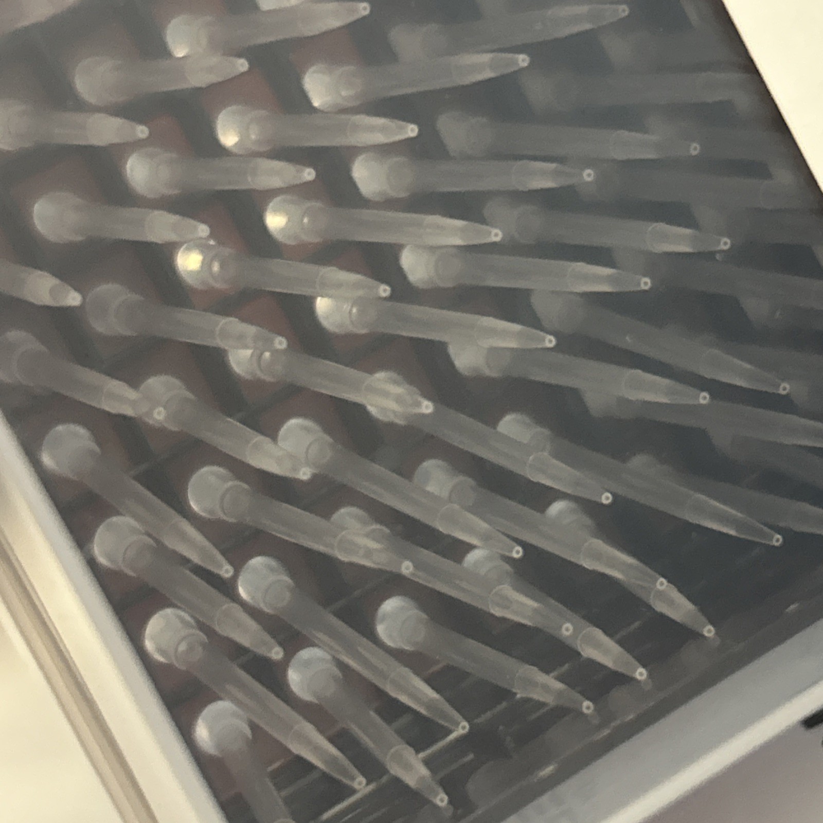 Axygen Pipette 96 Tips Clear, Racked 8.5-10ul T-400-R *10 Racks & Trays
