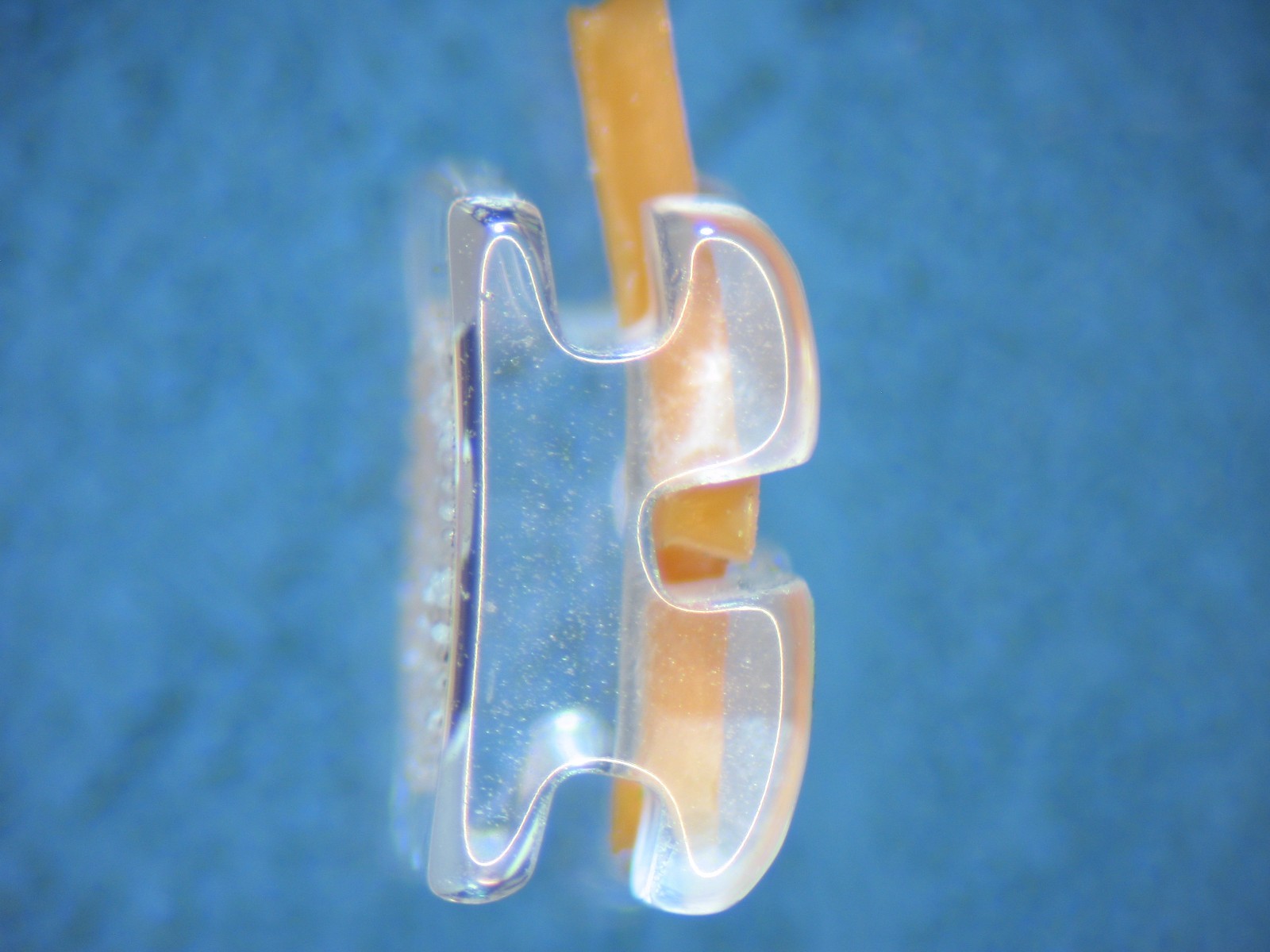 Absolute Clear Monocrystalline Sapphire Orthodontic Roth Bracket Brace US Seller