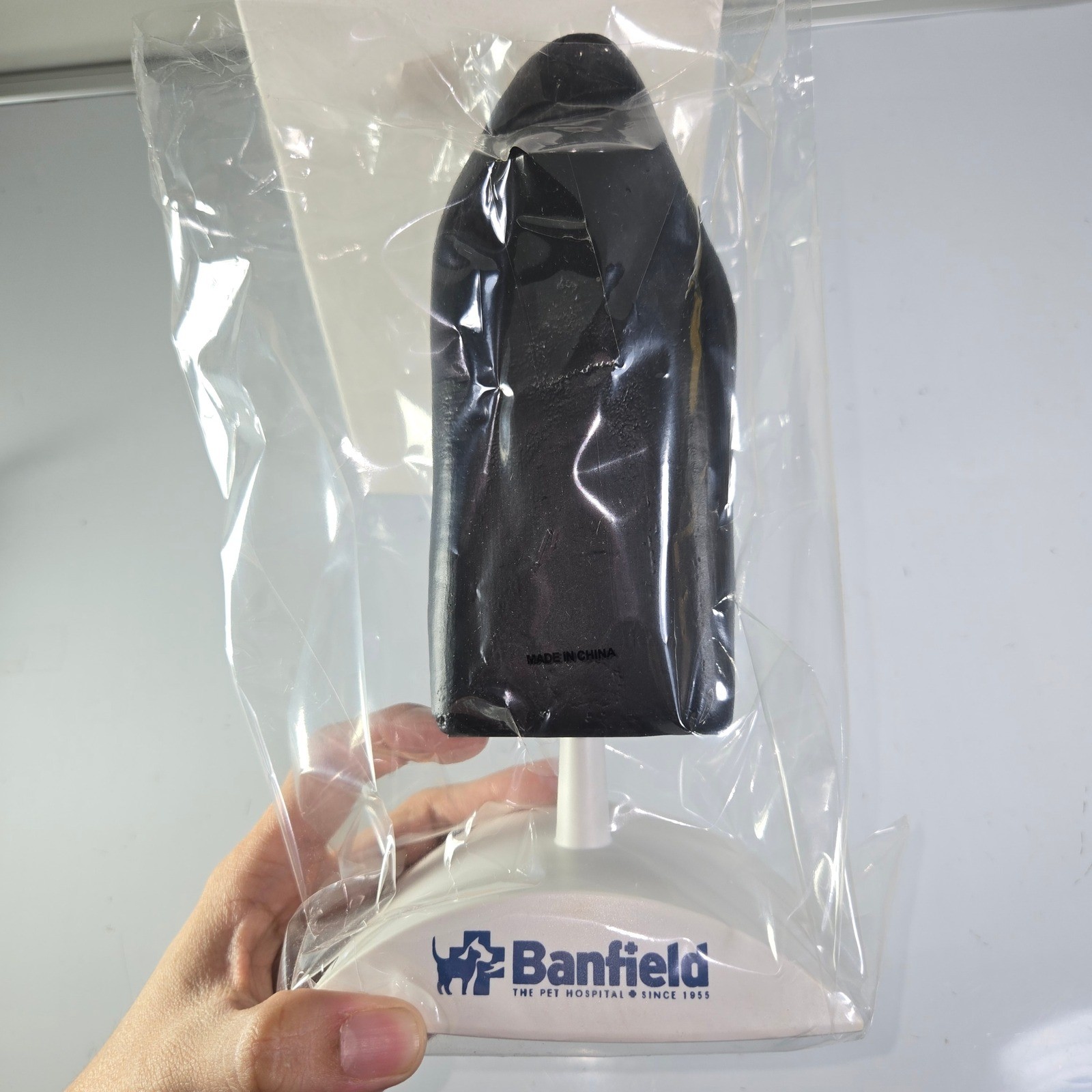 Banfield Ear Anatomy Model Educational Teaching Aid Medical Science