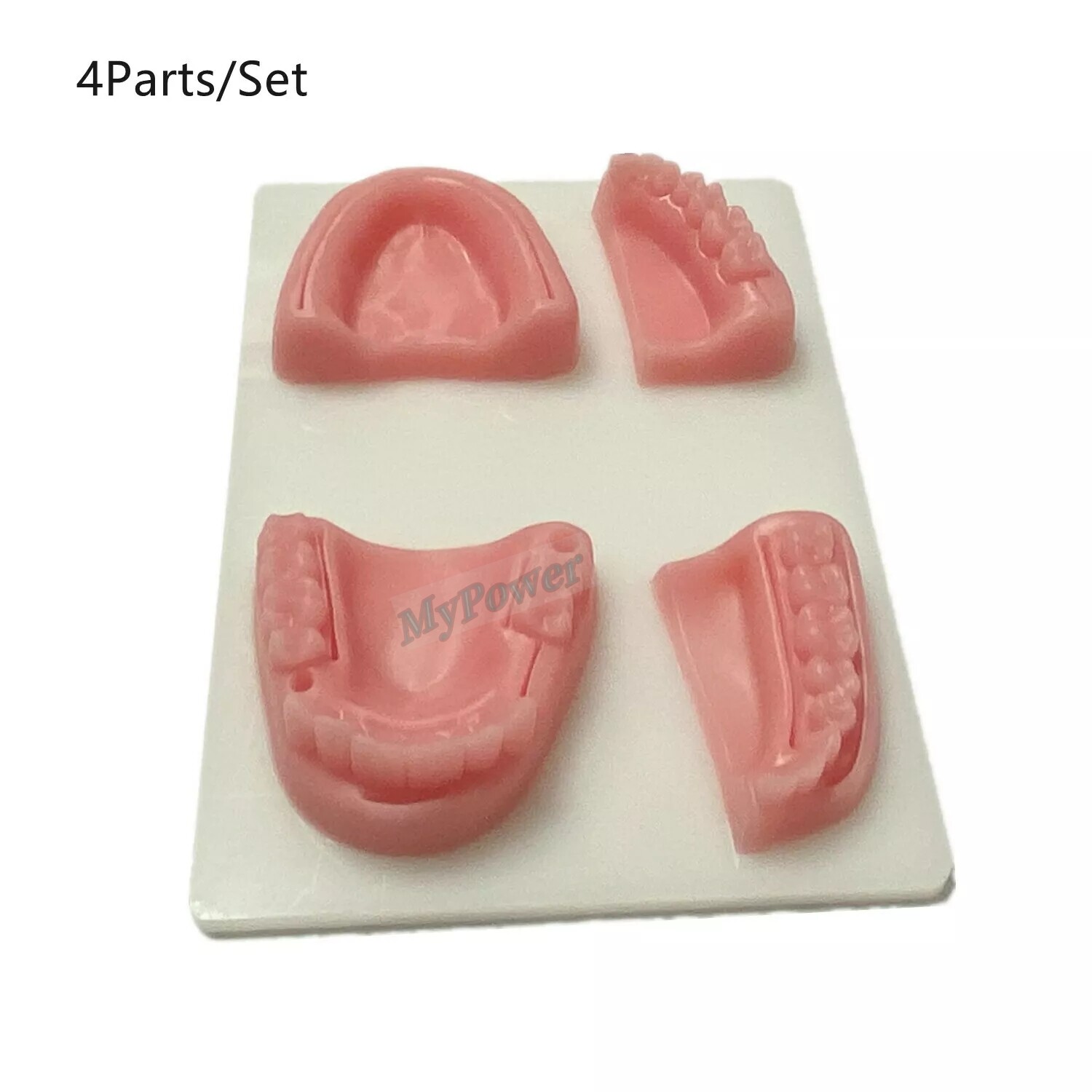 Dental Simulation Suture Model Gum Teaching Training Surgical Suture Reverse Cut