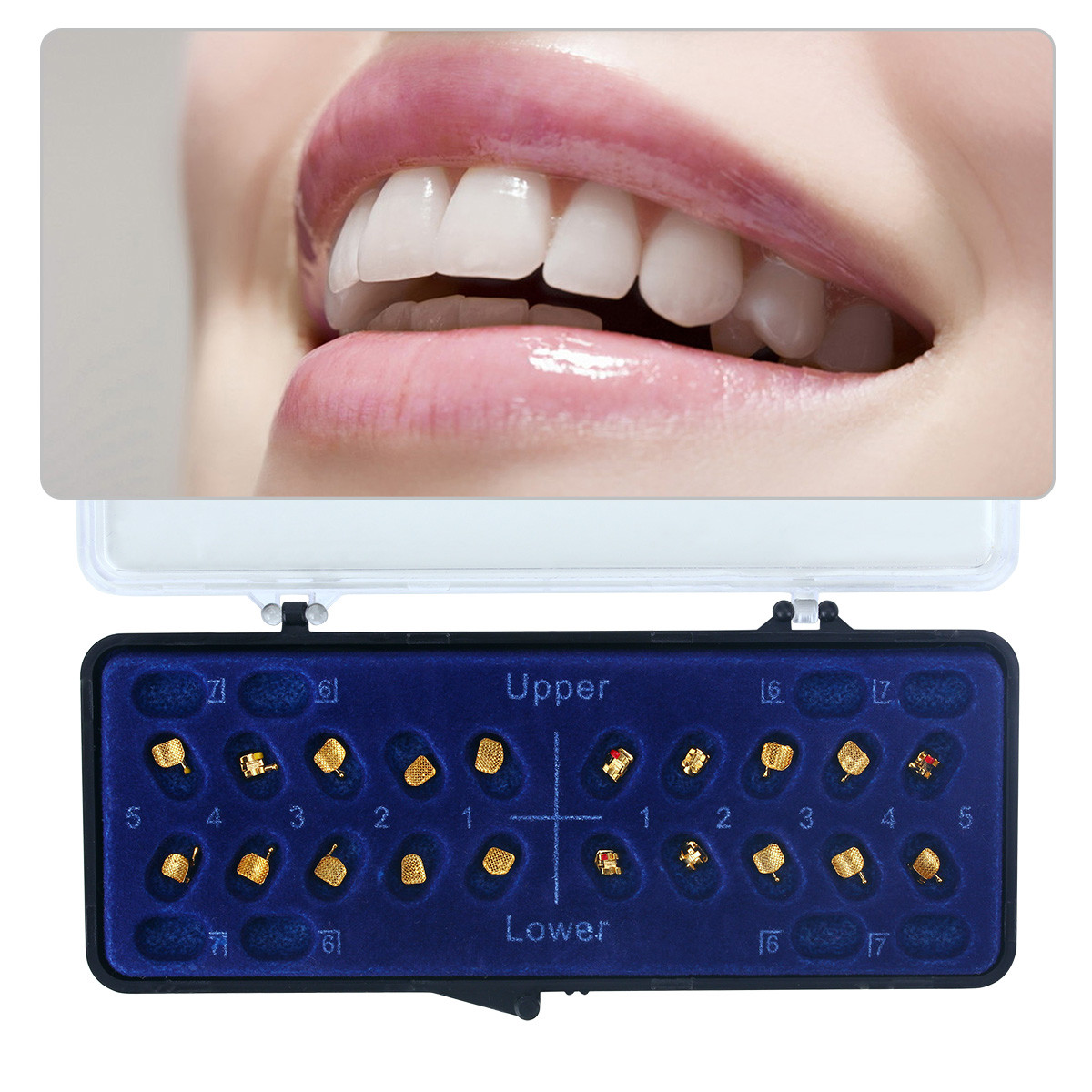 20pc Dental Orthodontic Metal Brackets Braces 24K Gold Plated Roth.022 3 4 5Hook