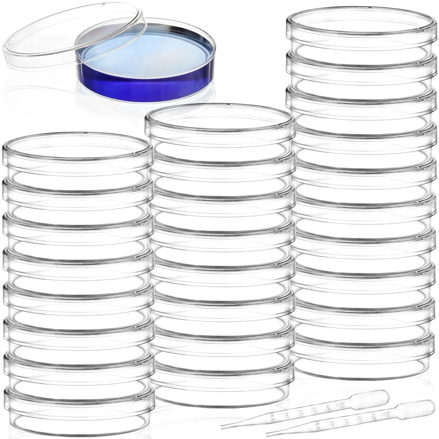 Bekith 100 Pack Plastic Petri Dishes with Lids, 60Mm Dia X 15Mm Deep Sterile Cle