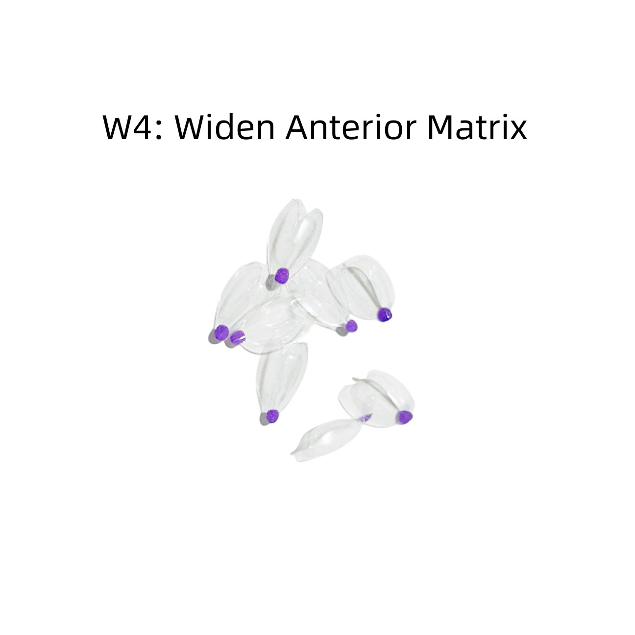 Clear Matrix Dental Anterior Posterior Transparent BT Matrices Fit BioClear USA