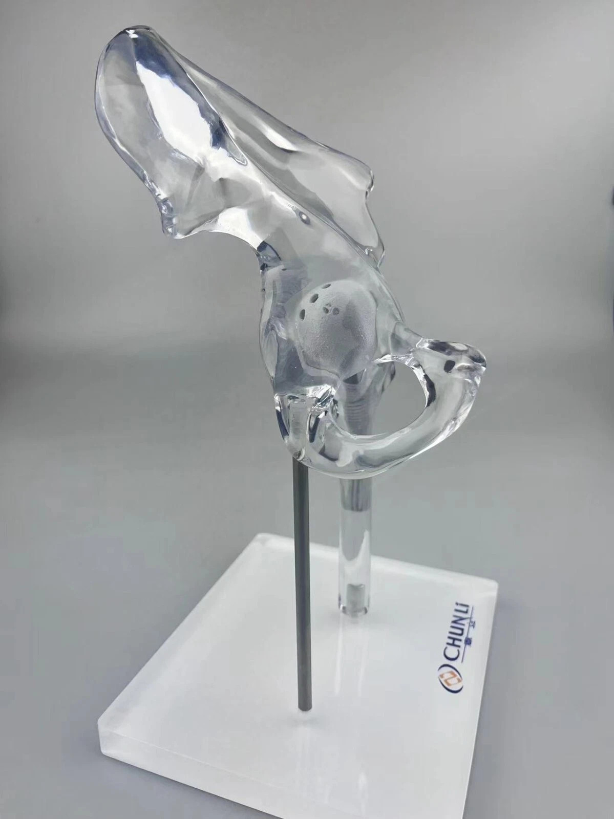 Artificial Shoulder Replacement Anatomical Model Knee Shoulder Elbow Joint Model