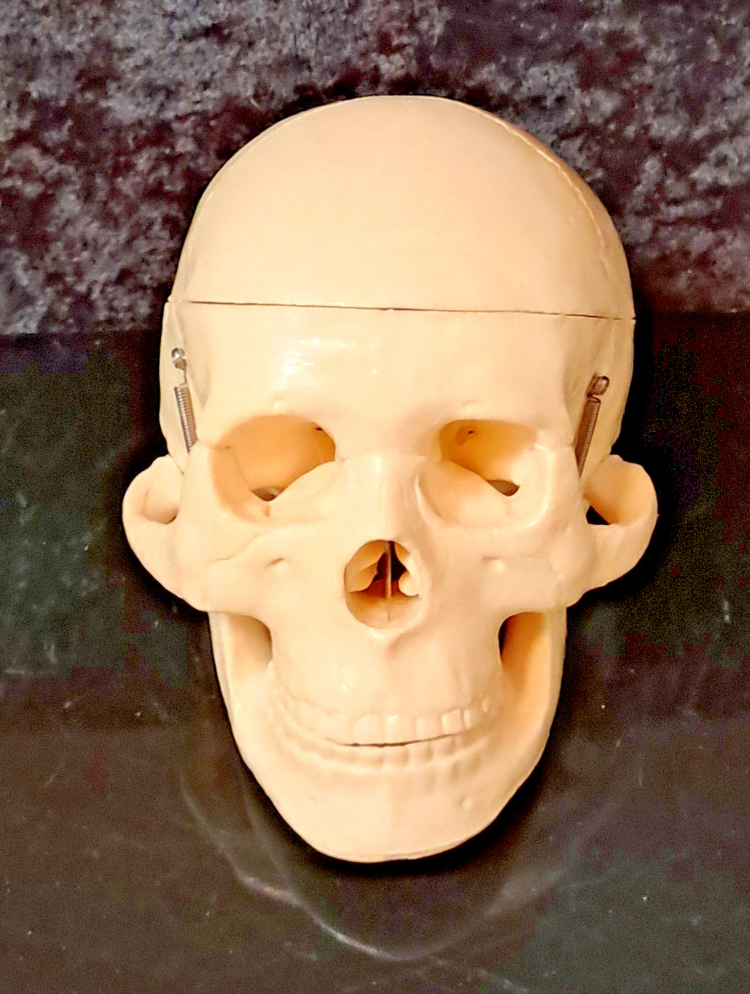 Vintage 4″x4″x4″ Heavy Plastic Human Skull & Brain Anatomical Teaching Model