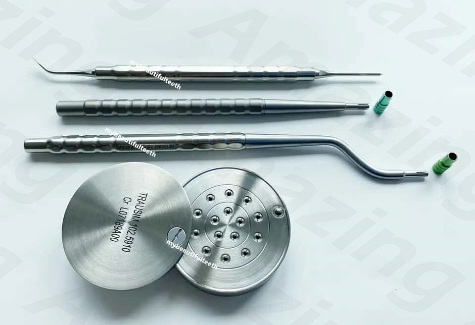 Dental Bone Tack Titanium Pins Membrane Fixation Stabilization Pin Handle GBR