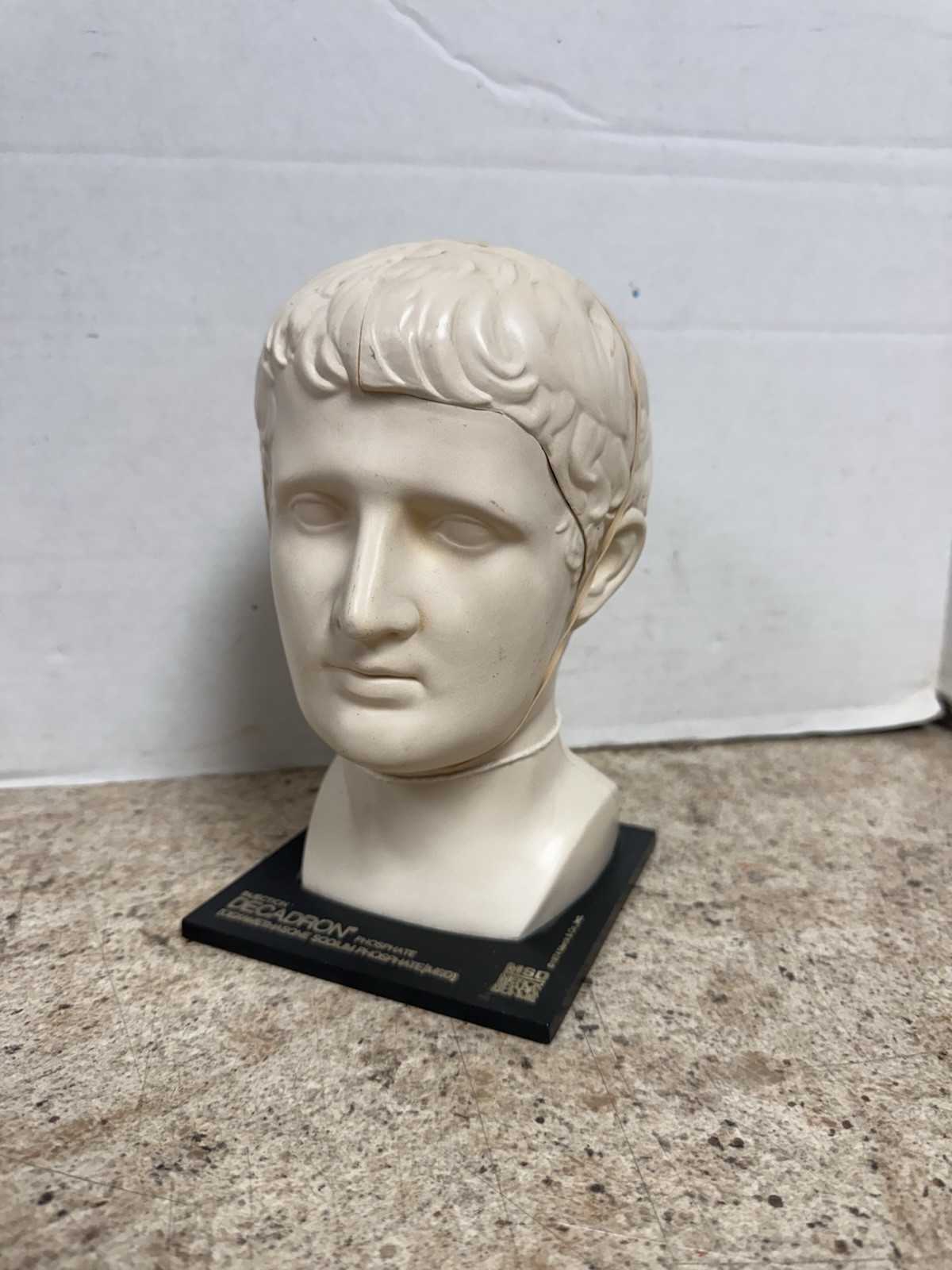 Vintage 1974 Merck Decadron Medical Display Bust With Brain Model Anatomy Piece