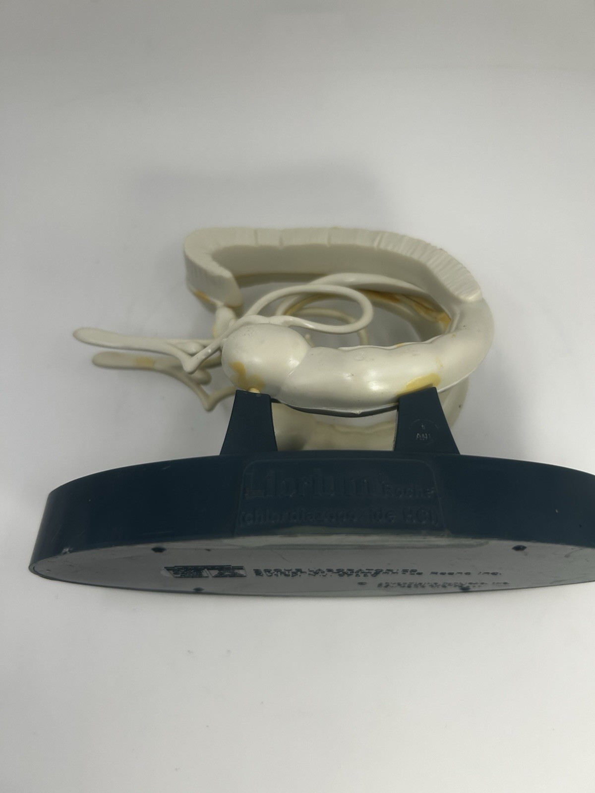 Vintage Roche Librium Brain Anatomical Model Medical Advertising Display Rare 3D