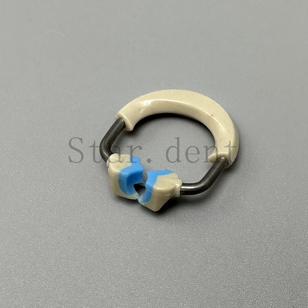 Dental Sectional Matrix System Nickel Titanium Alloy Matrices Clip Ring Band