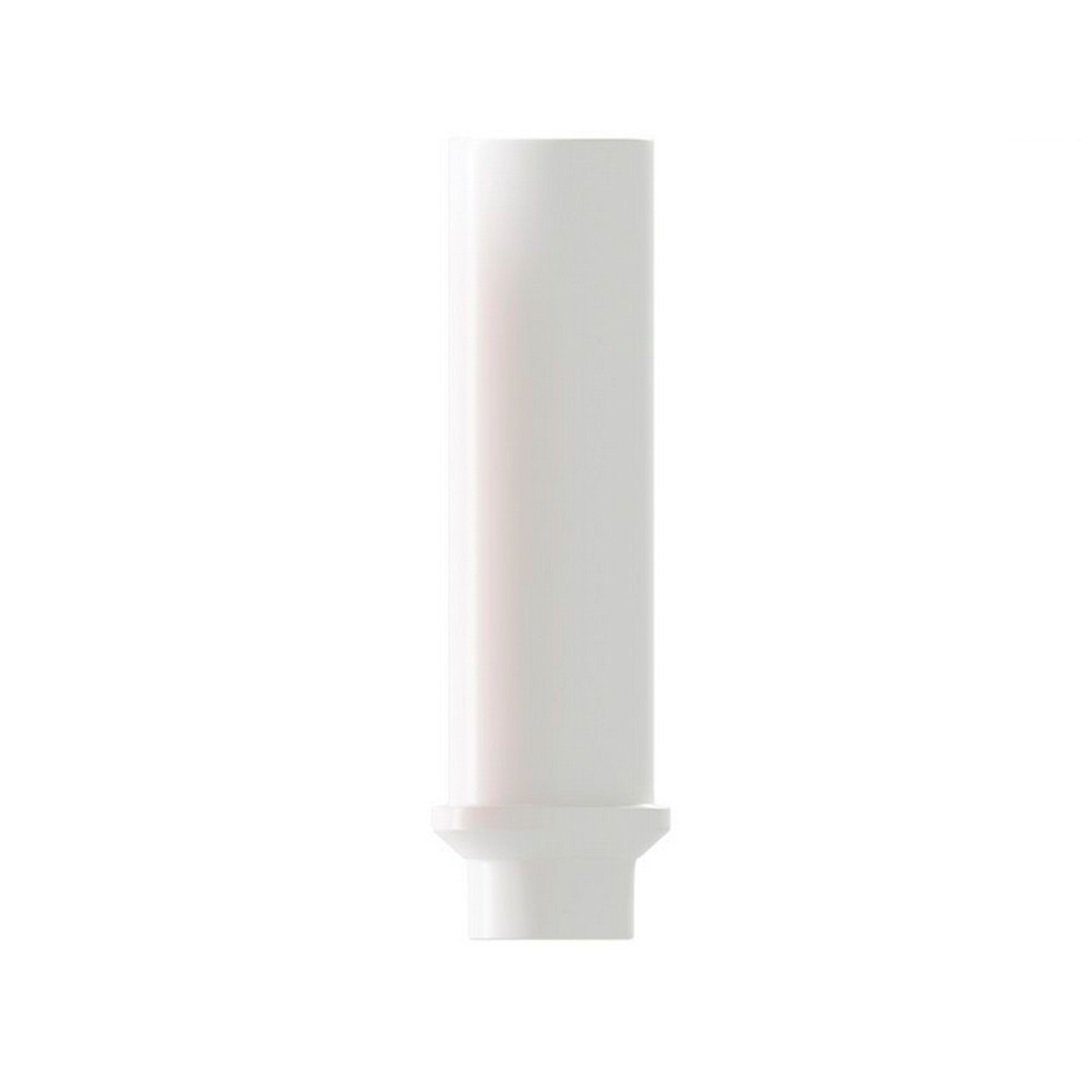 10pcs Plastic Castable UCLA Straight Abut men ts Internal Hex 2.0mm Dental Lab
