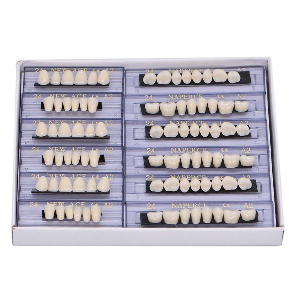 168Pcs Acrylic Resin Denture #24 Dental Upper Lower Shade A2 Teeth Set USA