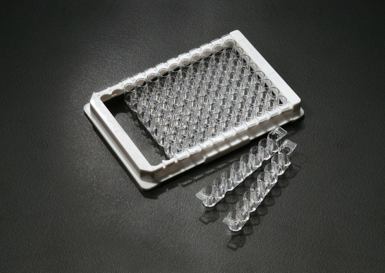 SPL Strip Immunoplate, 8 well/strip 96 well plate, PS, white PS frame Maxibing