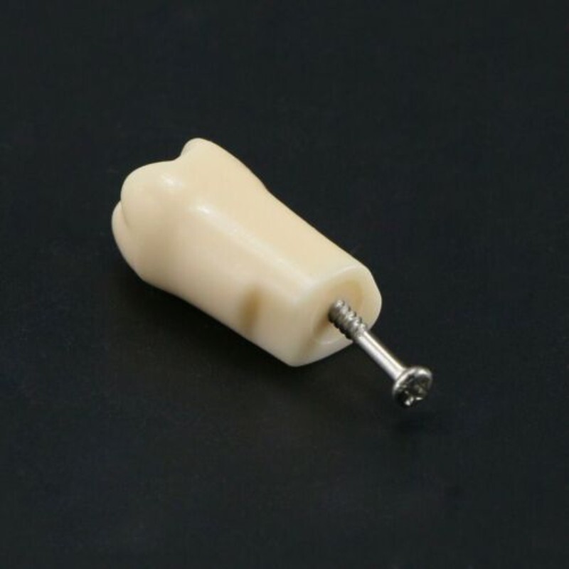 28 Pcs Dental Typodont Teeth Model Kilgore NISSIN 200 Type Removeable Teeth