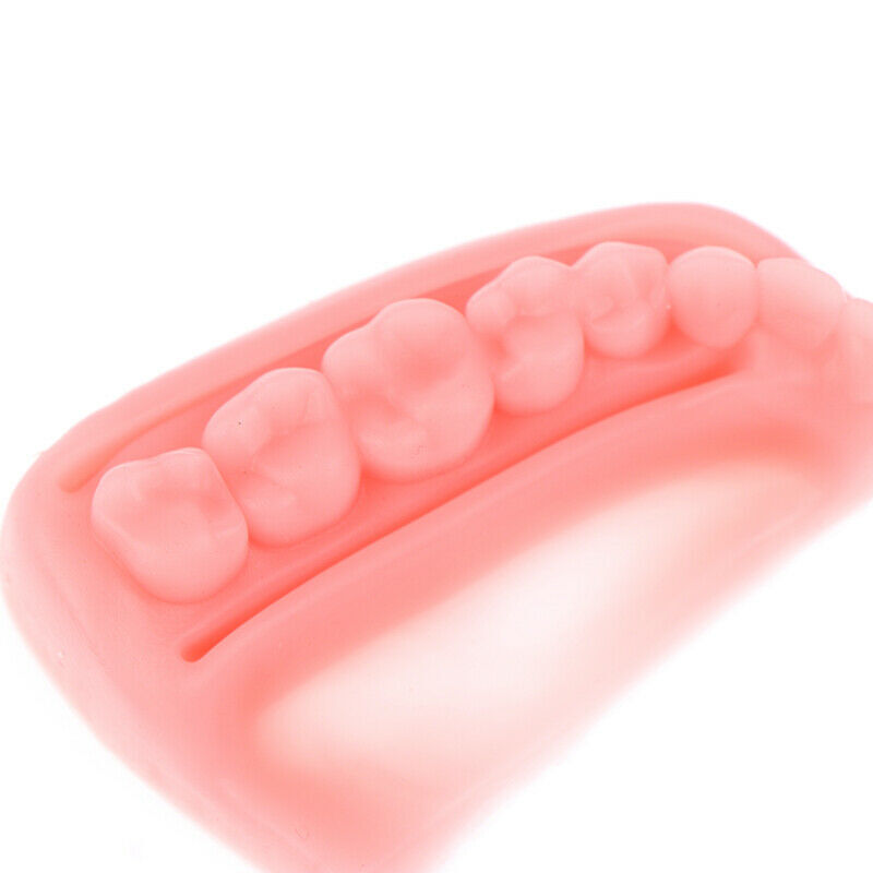 Dental Simulation Model Gum Training Dentist Practise 3/0 4/0 5/0